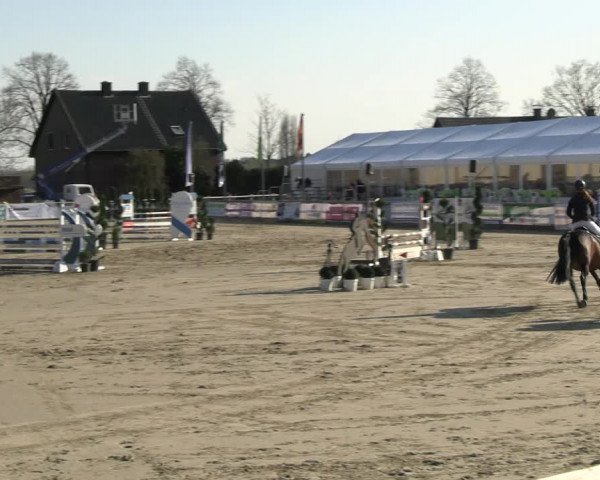 Reitturnier Werne-Lenklar 2023