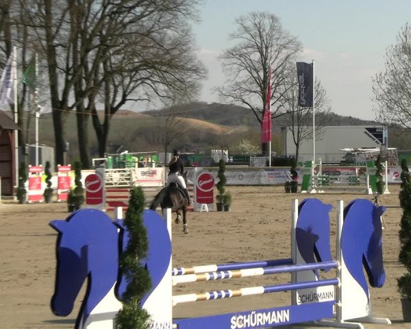 Reitturnier Werne-Lenklar 2023
