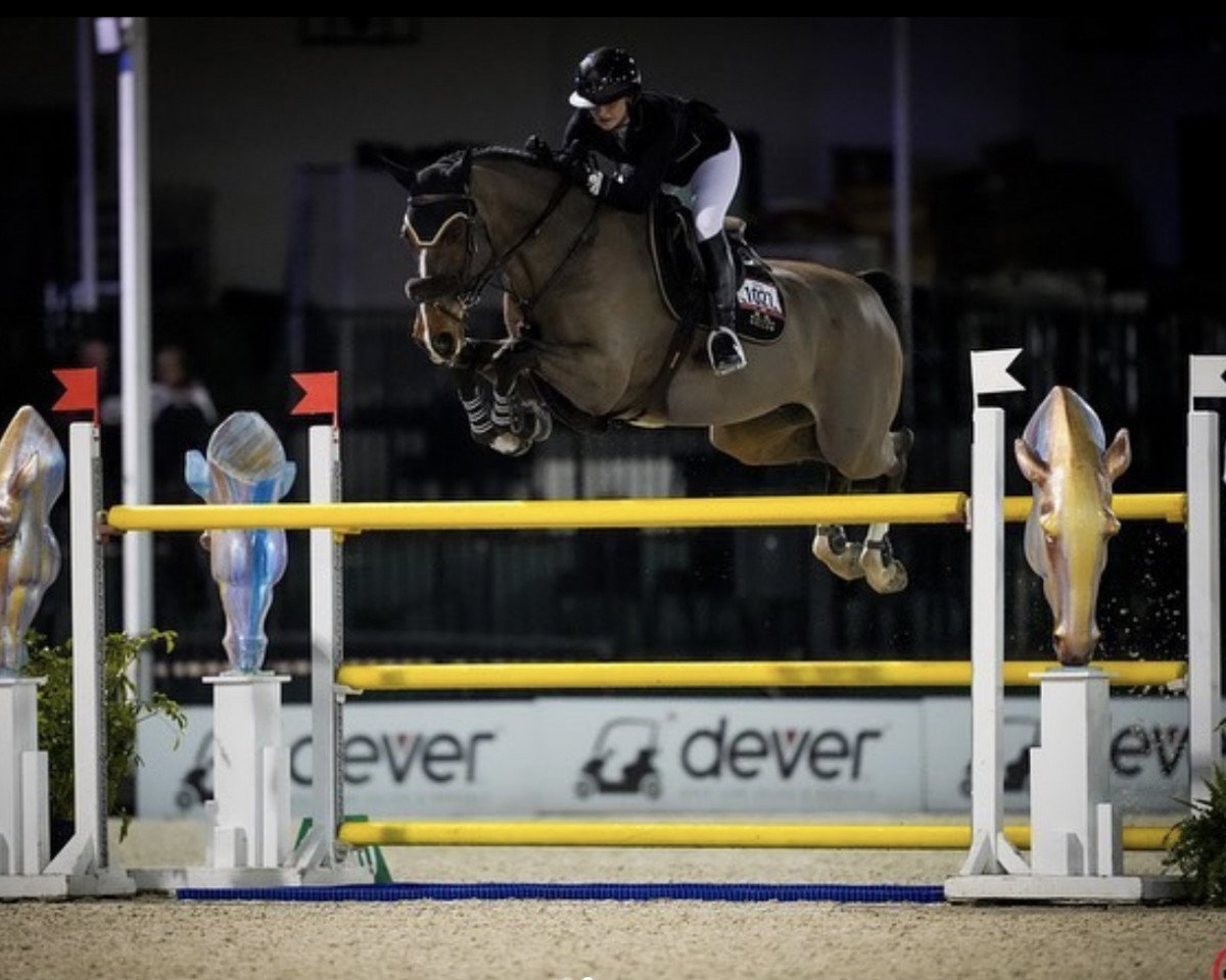 Cavallo da salto Esprit (KWPN (Sangue caldo olandese), 2009, di Toulon)