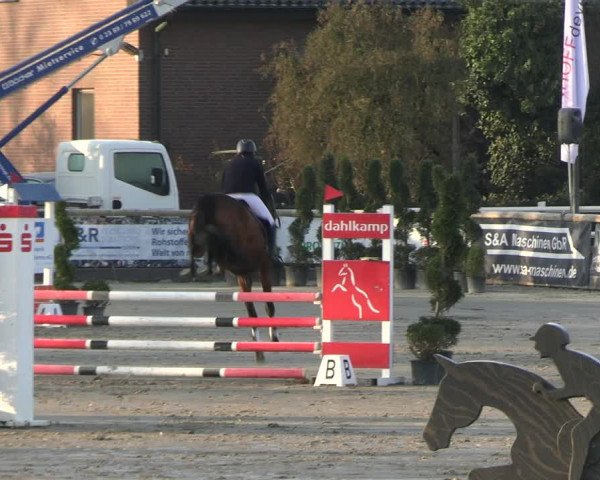 Reitturnier Werne-Lenklar 2023