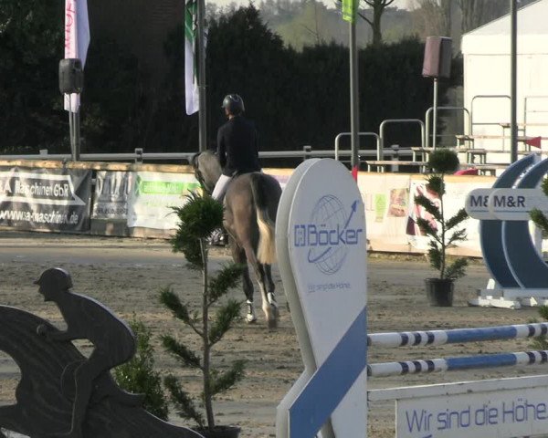 Reitturnier Werne-Lenklar 2023