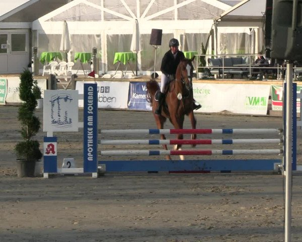 Reitturnier Werne-Lenklar 2023