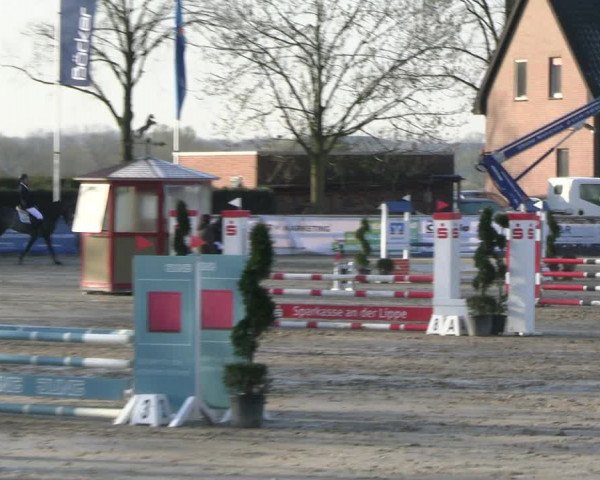 Reitturnier Werne-Lenklar 2023