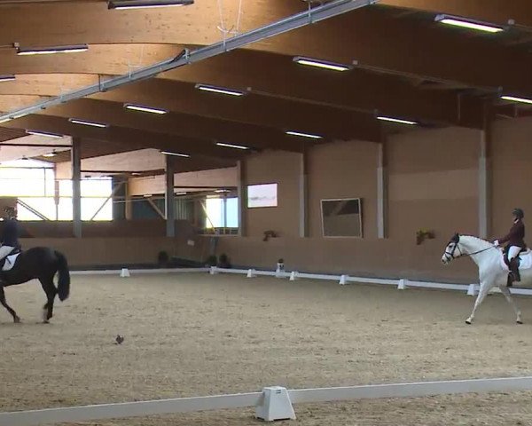 Reitturnier Grafenrheinfeld/Ufr. 2023