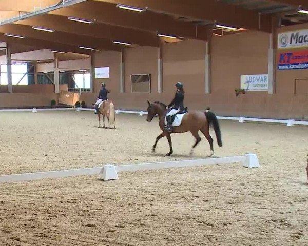 Reitturnier Grafenrheinfeld/Ufr. 2023