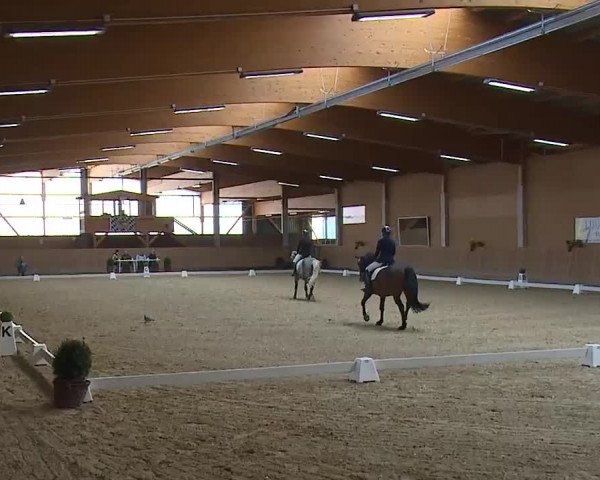 Reitturnier Grafenrheinfeld/Ufr. 2023