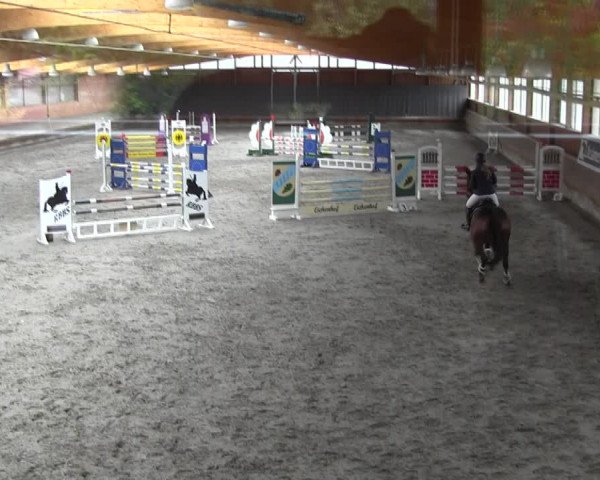 Reitturnier Tremsdorf, Eichenhof 2021