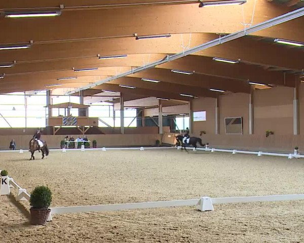 Reitturnier Grafenrheinfeld/Ufr. 2023