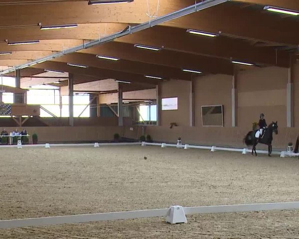Reitturnier Grafenrheinfeld/Ufr. 2023