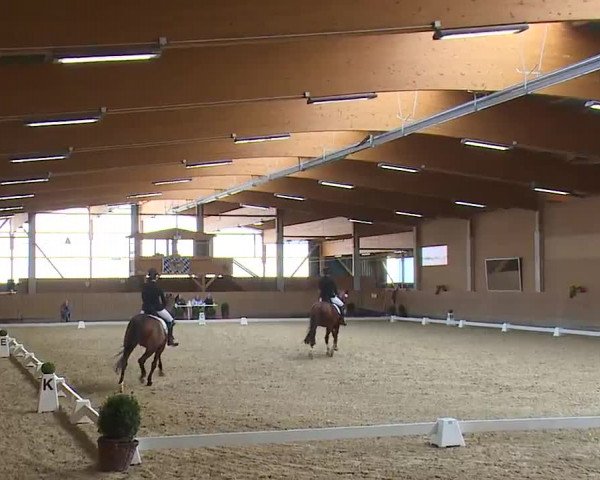 Reitturnier Grafenrheinfeld/Ufr. 2023