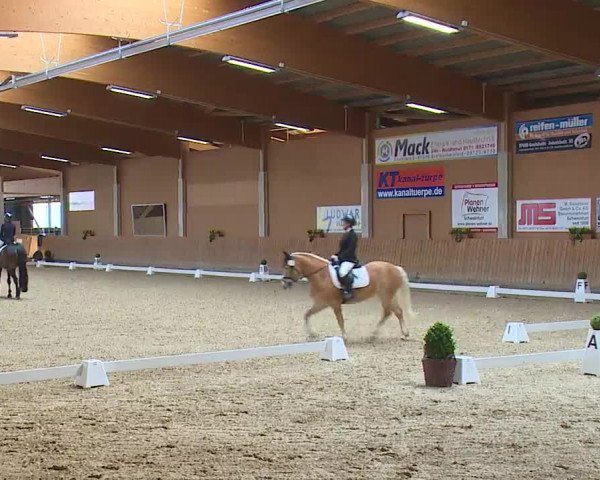 Reitturnier Grafenrheinfeld/Ufr. 2023