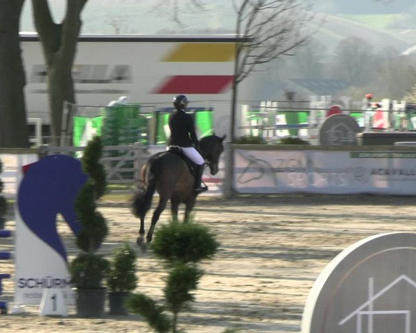 Reitturnier Werne-Lenklar 2023