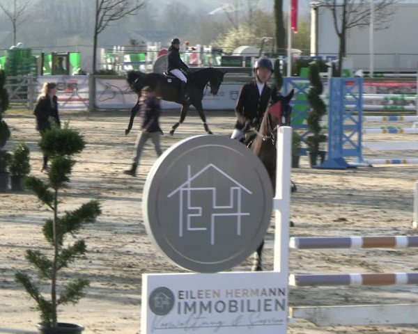 Reitturnier Werne-Lenklar 2023