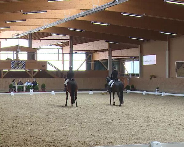 Reitturnier Grafenrheinfeld/Ufr. 2023