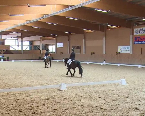 Reitturnier Grafenrheinfeld/Ufr. 2023