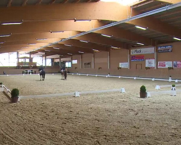 Reitturnier Grafenrheinfeld/Ufr. 2023