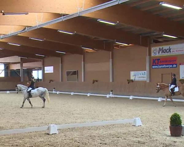 Reitturnier Grafenrheinfeld/Ufr. 2023