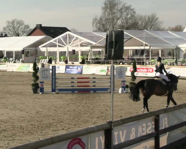 Reitturnier Werne-Lenklar 2023