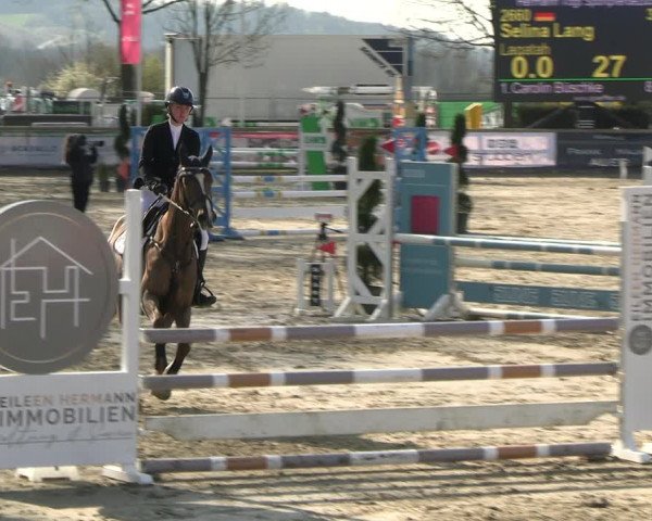 Reitturnier Werne-Lenklar 2023