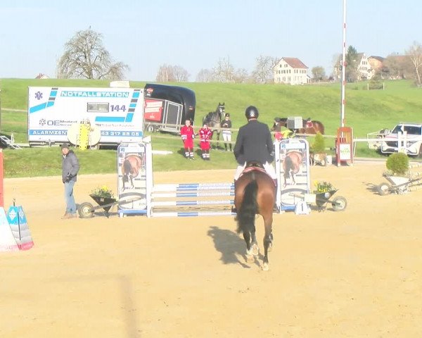Reitturnier Wädenswil 2023