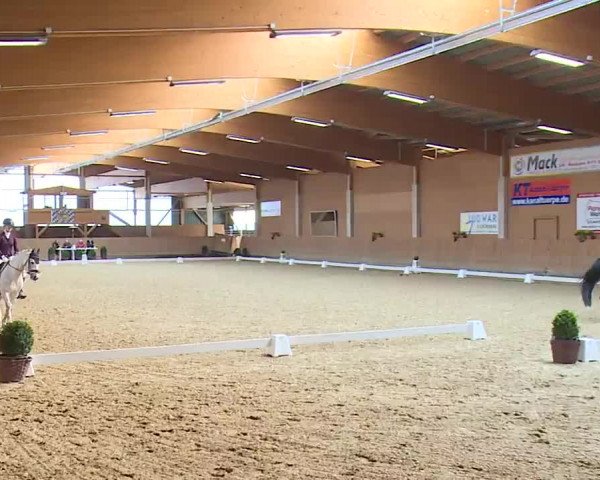 Reitturnier Grafenrheinfeld/Ufr. 2023