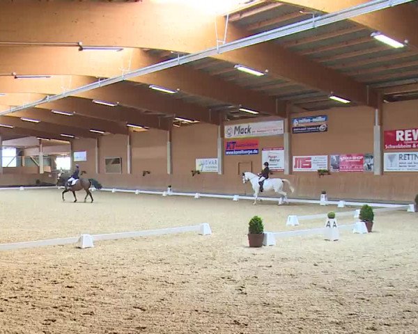Reitturnier Grafenrheinfeld/Ufr. 2023