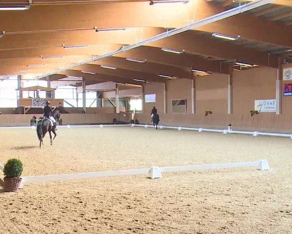Reitturnier Grafenrheinfeld/Ufr. 2023