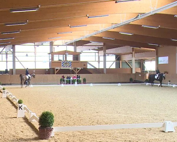 Reitturnier Grafenrheinfeld/Ufr. 2023