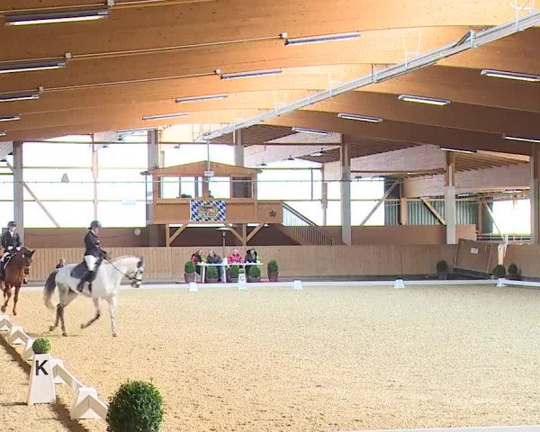 Reitturnier Grafenrheinfeld/Ufr. 2023