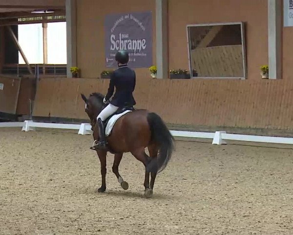 Reitturnier Grafenrheinfeld/Ufr. 2021