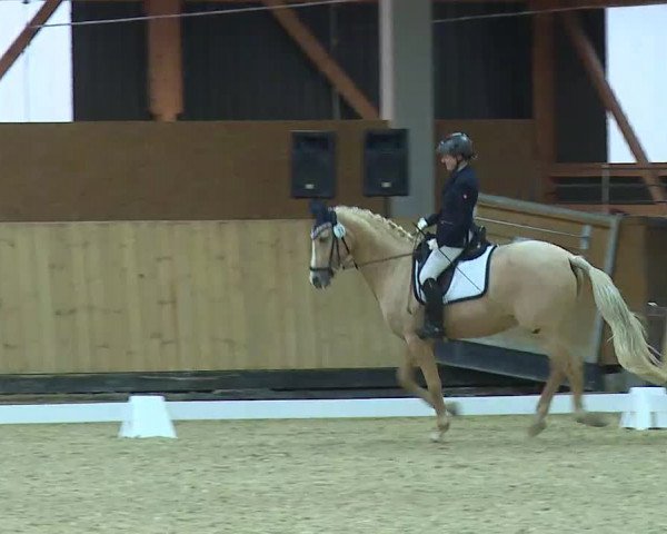 Reitturnier Grafenrheinfeld/Ufr. 2021