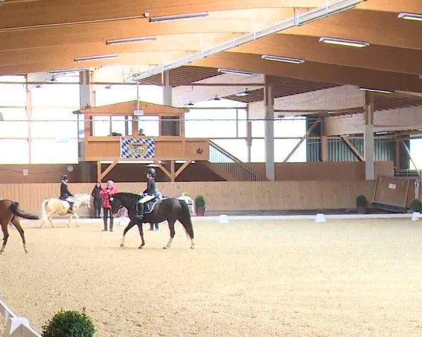 Reitturnier Grafenrheinfeld/Ufr. 2023