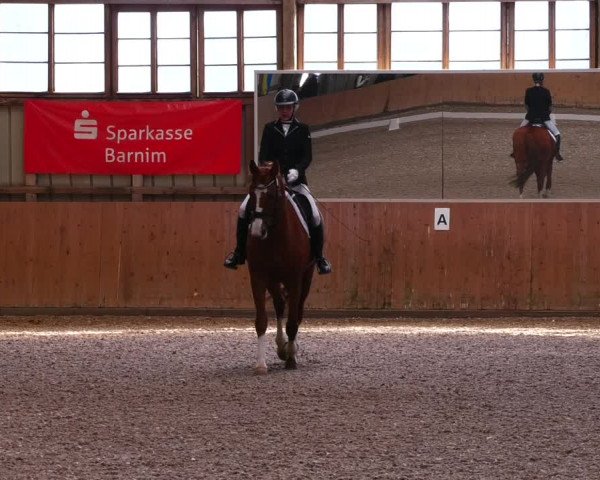 Reitturnier Elisenau 2023