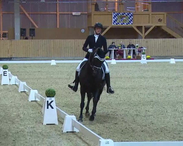 Reitturnier Grafenrheinfeld/Ufr. 2021
