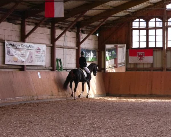 Reitturnier Elisenau 2023