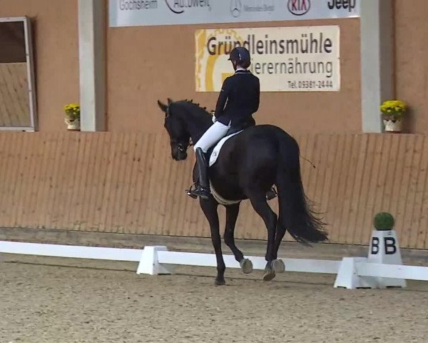 Reitturnier Grafenrheinfeld/Ufr. 2021
