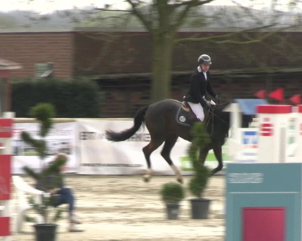 Reitturnier Werne-Lenklar 2023