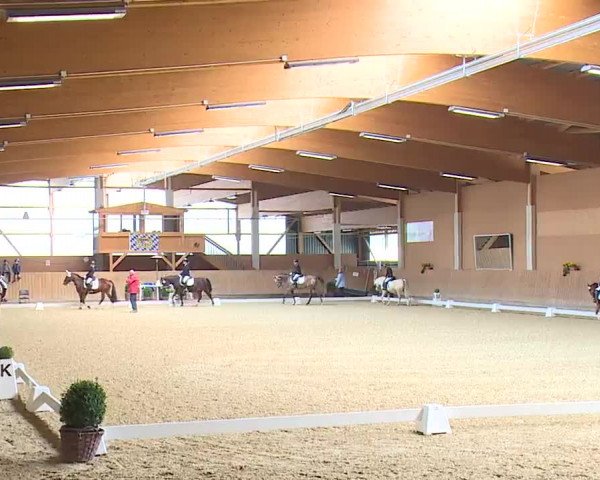 Reitturnier Grafenrheinfeld/Ufr. 2023