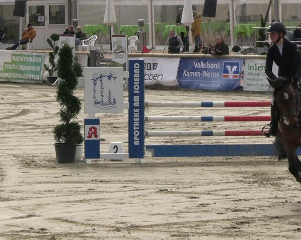 Reitturnier Werne-Lenklar 2023