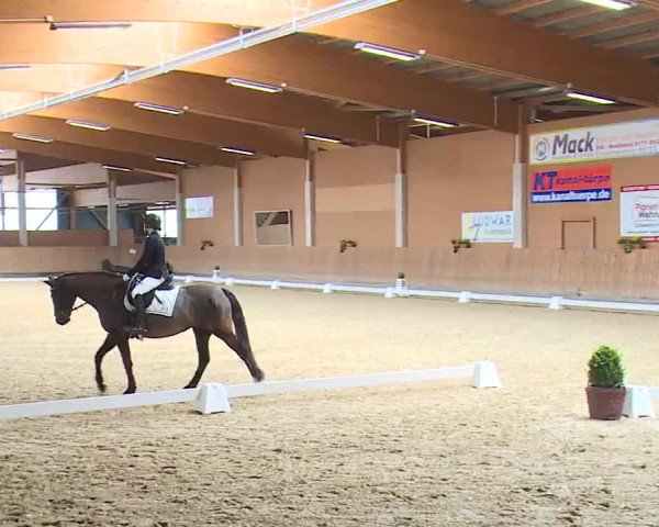 Reitturnier Grafenrheinfeld/Ufr. 2023