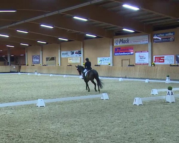 Reitturnier Grafenrheinfeld/Ufr. 2021
