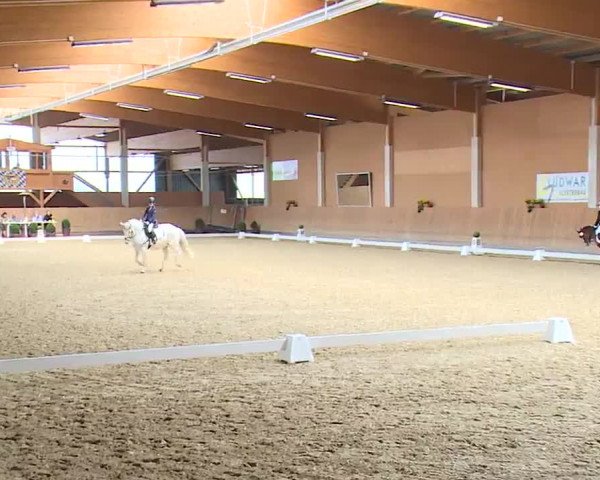 Reitturnier Grafenrheinfeld/Ufr. 2023