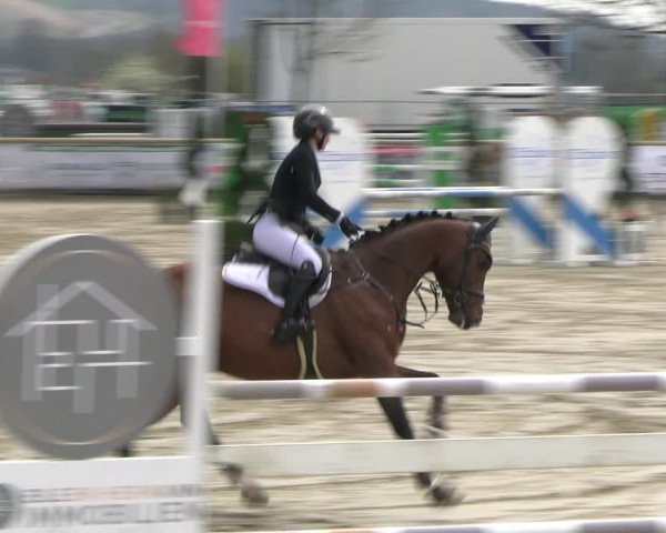 Reitturnier Werne-Lenklar 2023