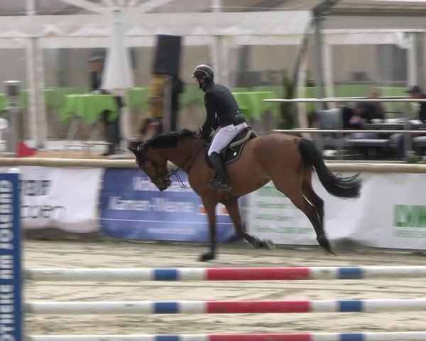 Reitturnier Werne-Lenklar 2023