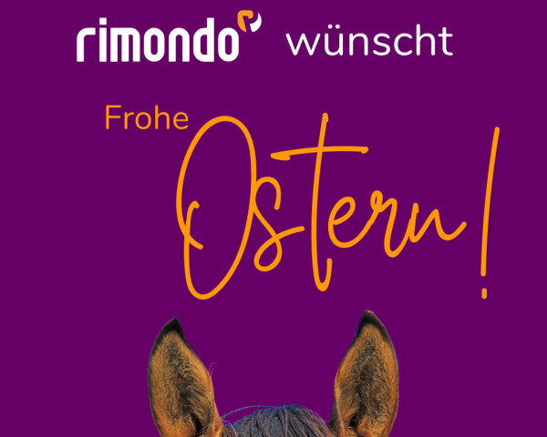 jumper Frohe Ostern 3 (Rhinelander, 2011, from For Complete)