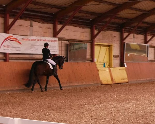Reitturnier Elisenau 2023