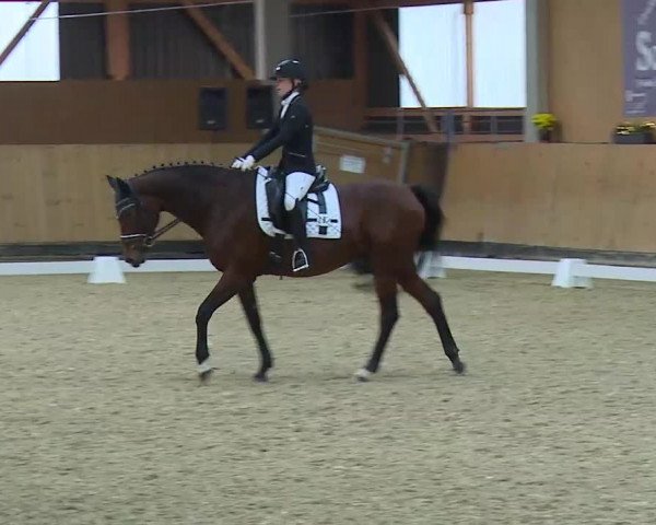 Reitturnier Grafenrheinfeld/Ufr. 2021