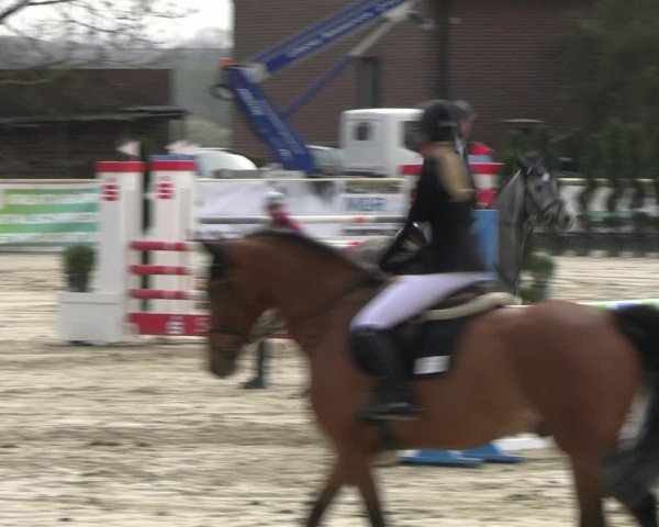 Reitturnier Werne-Lenklar 2023