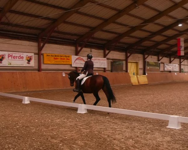 Reitturnier Elisenau 2023