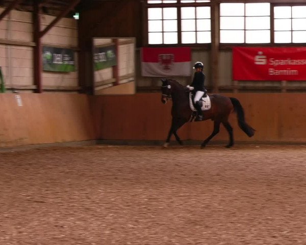 Reitturnier Elisenau 2023